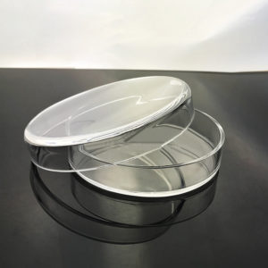 Quartz Petri Dish 2